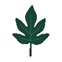 Filodendrony