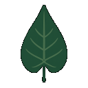 Syngonia