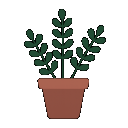 Sukulenty