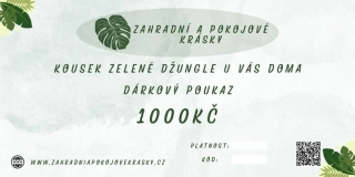 Dárkový poukaz 1000Kč
